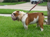 /album/photogallery/p1010084-jpg2/