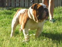 /album/photogallery/p1030835-jpg1/