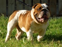 /album/photogallery/p1030850-jpg1/