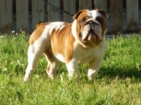 /album/photogallery/p1030849-jpg2/