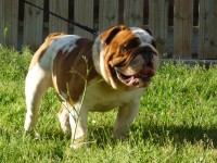 /album/photogallery/p1030840-jpg1/