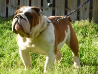 /album/photogallery/p1030868-jpg1/