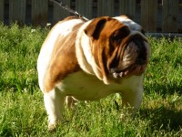 /album/photogallery/p1030862-jpg1/